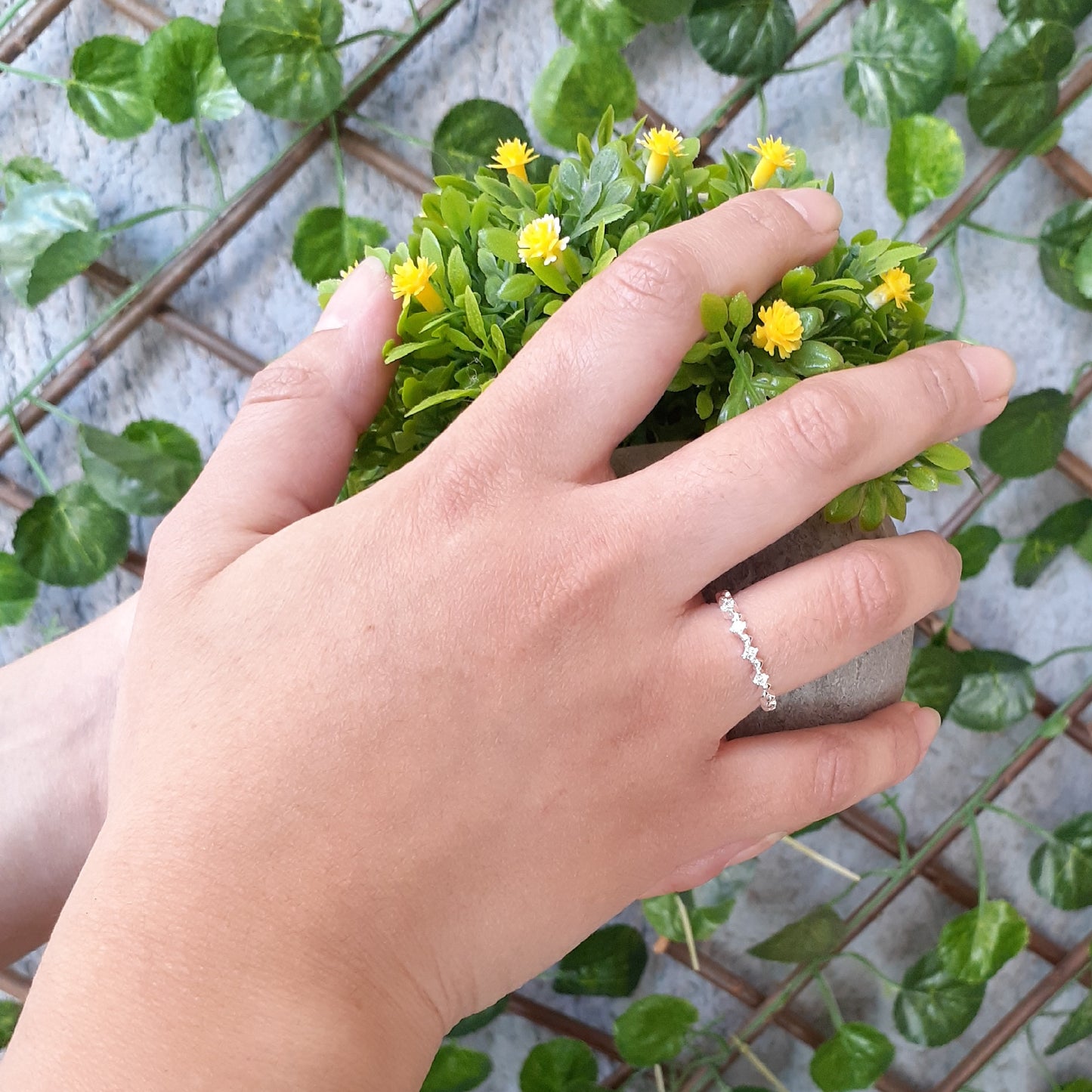 Anillo Mylein